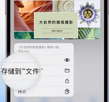 梅州apple维修中心分享iPhone文件应用中存储和找到下载文件