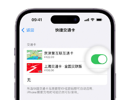 梅州apple维修点分享iPhone上更换Apple Pay快捷交通卡手绘卡面 