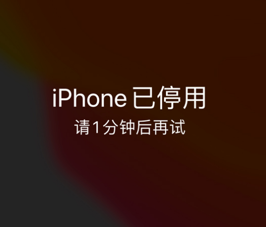 梅州苹果手机维修分享:iPhone 显示“不可用”或“已停用”怎么办？还能保留数据吗？ 