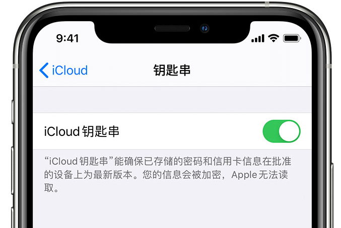 梅州苹果手机维修分享在 iPhone 上开启 iCloud 钥匙串之后会储存哪些信息 