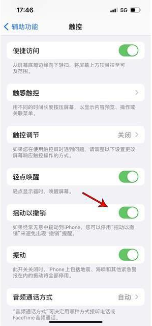 梅州苹果手机维修分享iPhone手机如何设置摇一摇删除文字 