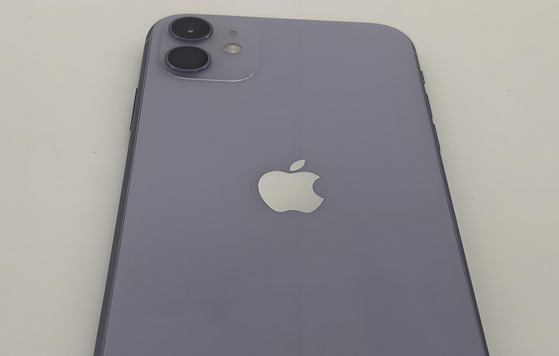 梅州苹果11系统维修分享iPhone11手机系统崩溃无法开机如何解决
